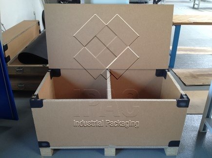 Carton box with partition      